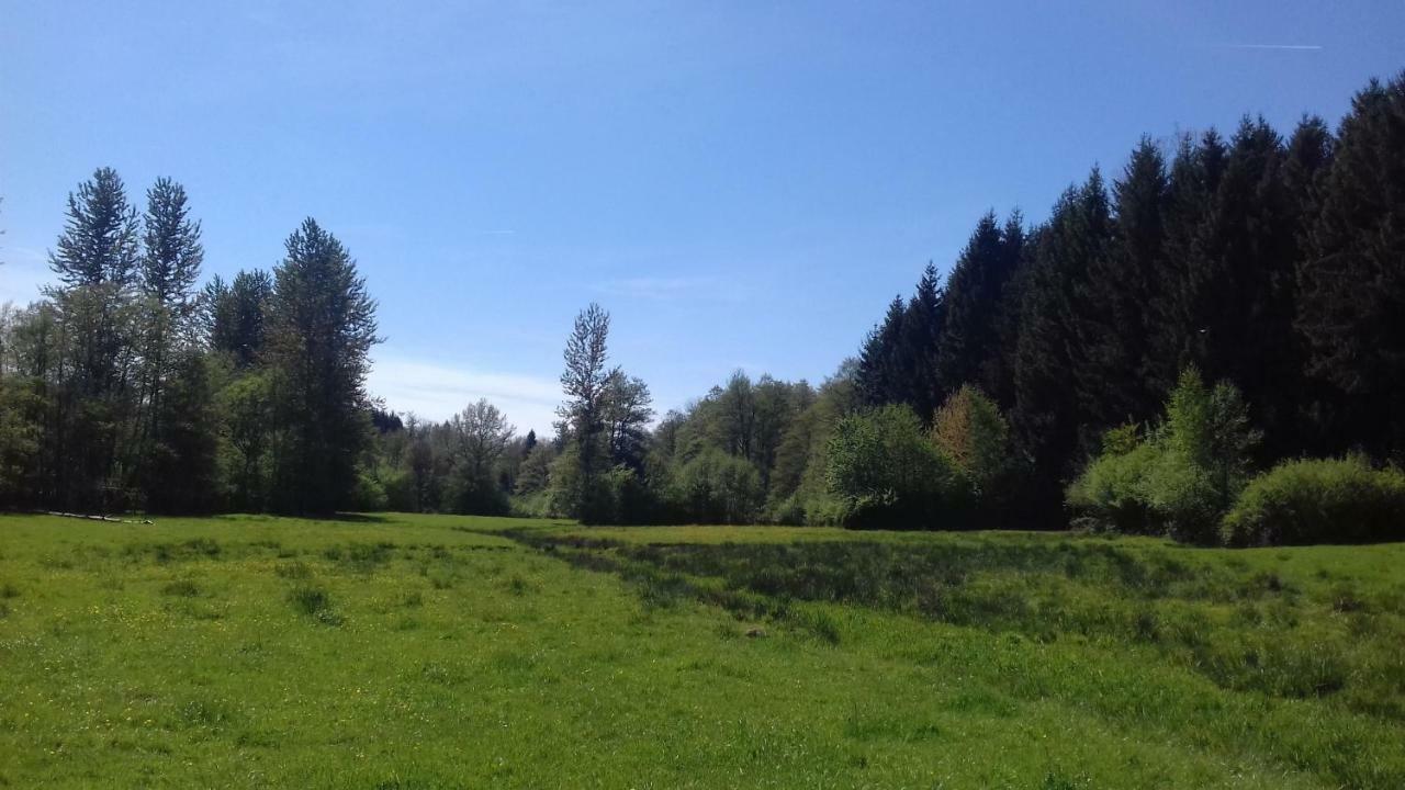L'Oriere Des Bois Villa Ronchamp Exterior photo